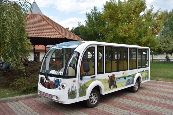 Focun on green transport